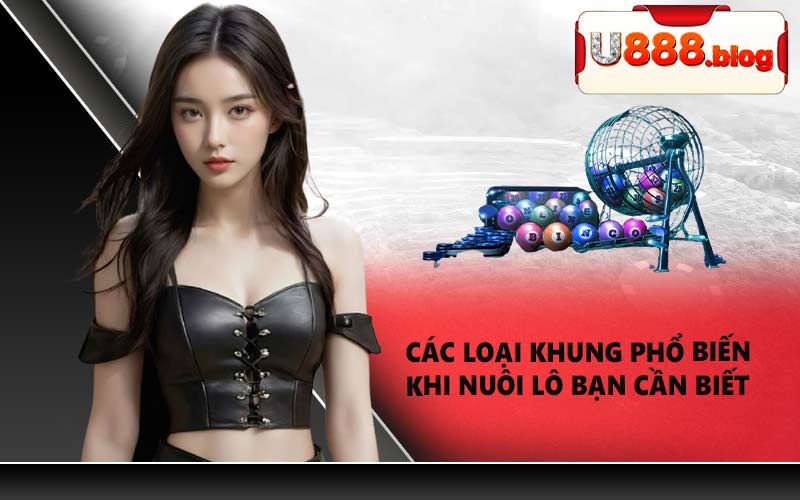 Các loại khung phổ biến khi nuôi lô bạn cần biết