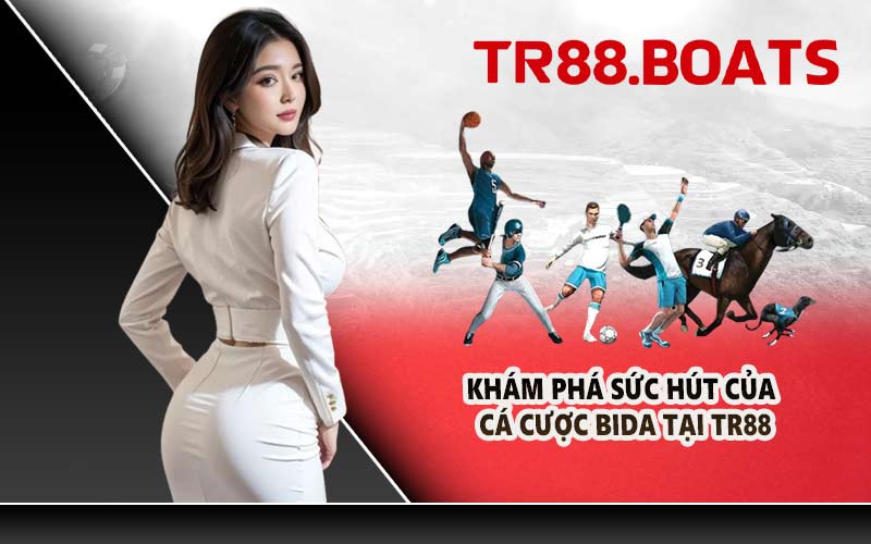 Khám phá sức hút của cá cược bida tại TR88