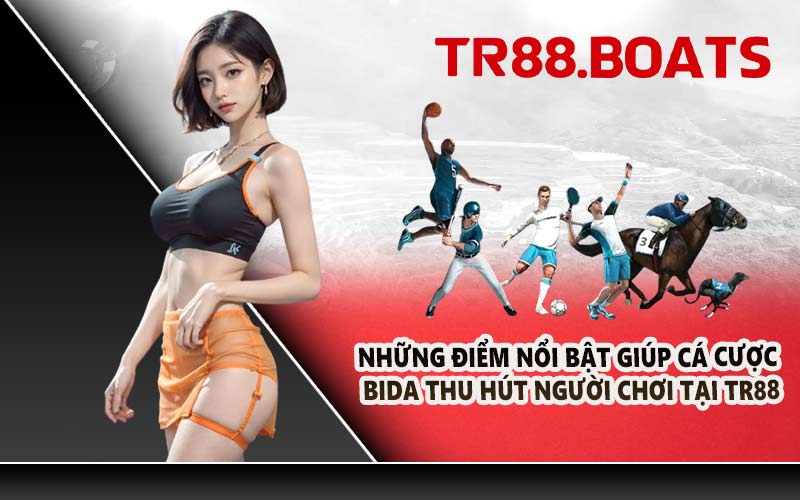 Những điểm nổi bật giúp cá cược bida thu hút người chơi tại TR88